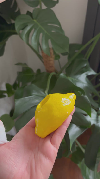 Bougeoirs Citron